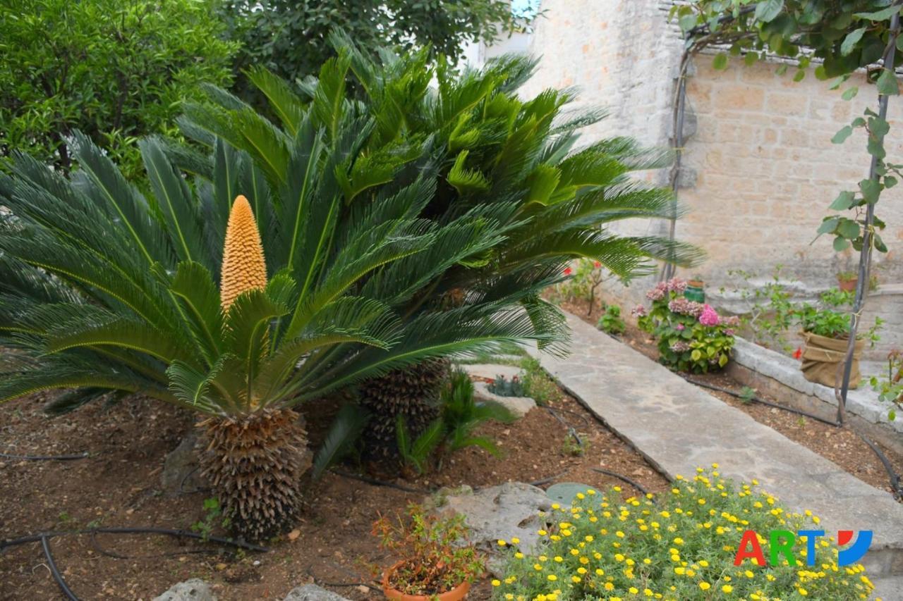 アルベロベッロ Trullo Al Vicoletto Al Civico 10, Civico 8, Civico 7ヴィラ エクステリア 写真