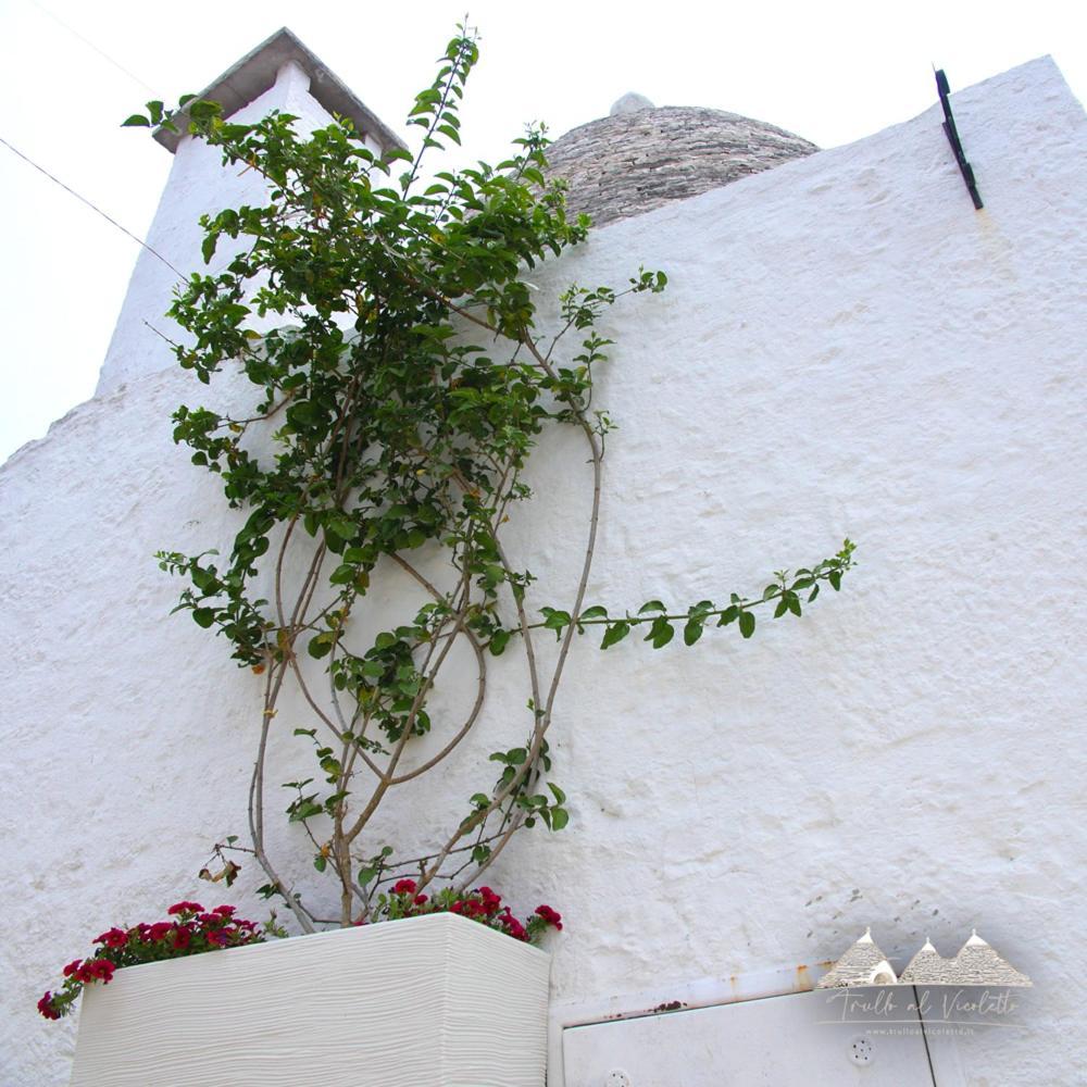 アルベロベッロ Trullo Al Vicoletto Al Civico 10, Civico 8, Civico 7ヴィラ エクステリア 写真
